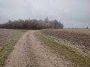 Bientôt forêt de Chanteraine